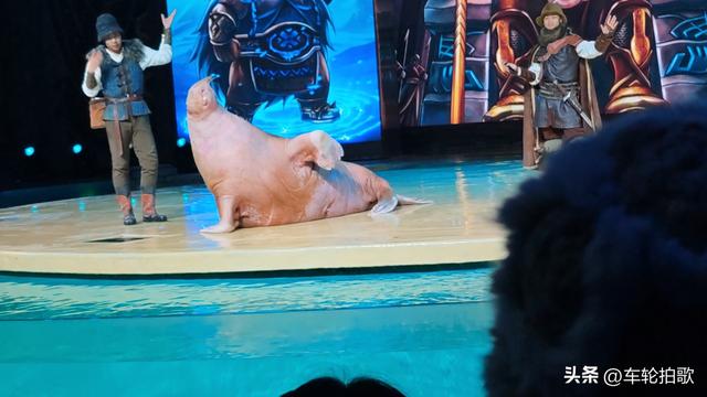 情暖重阳，与爱同游！