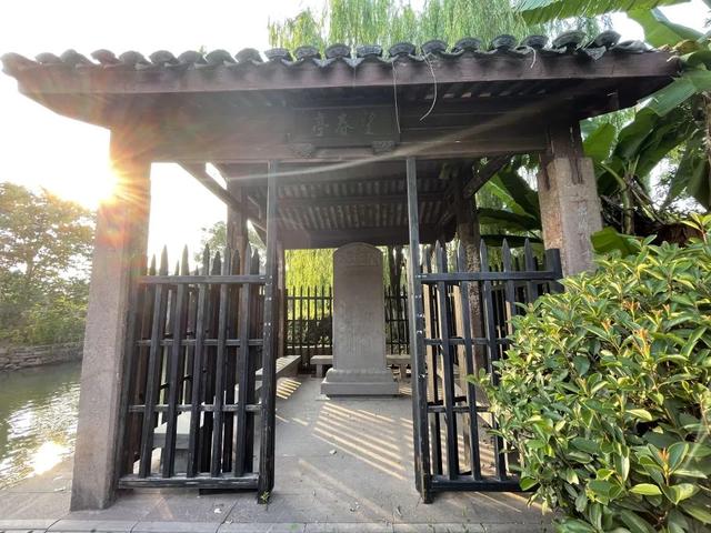 宁波望春桥：桥树相依，天下奇观