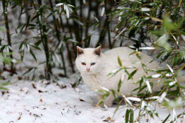 海滋都来三次了,你还不来吗?