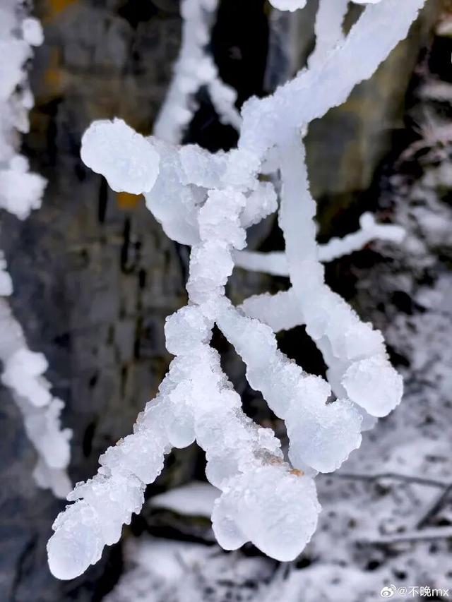 多重惊喜一键解锁：免门票·玩冰雪·泡温泉！松坪沟徒步还能领限定奖牌！
