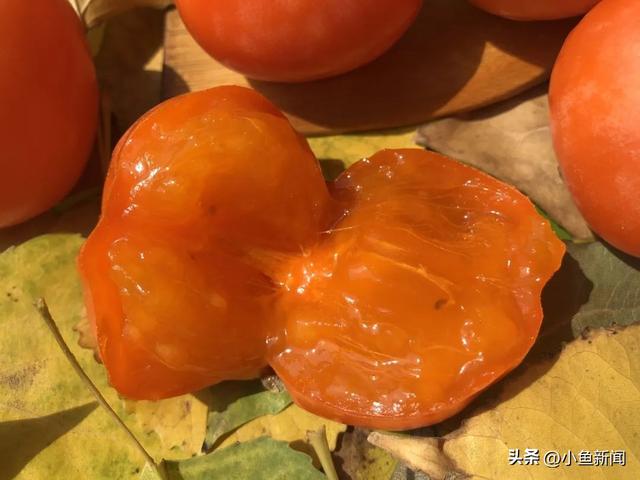 好多人在拍！苏州到底有谁在啊