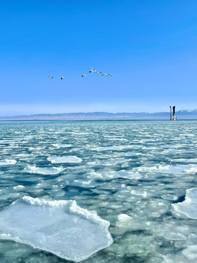 高原明珠青海湖