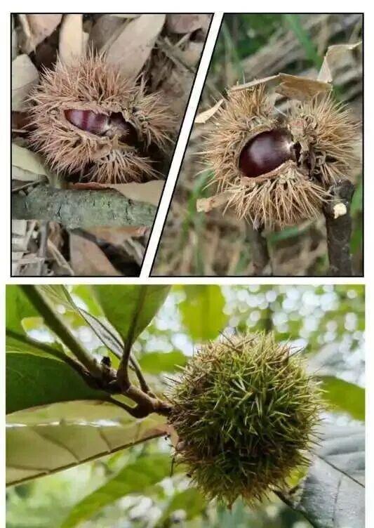 游在鹰潭｜这座城市秋日杀疯了！4重甜感暴击，谁来谁上头！「全球学子嘉游赣 奇绝鹰潭逍遥游」