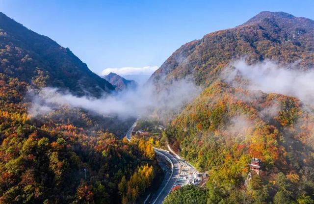 秦岭秋日童话：自驾高江路，邂逅4000年银杏与绝美红叶长廊