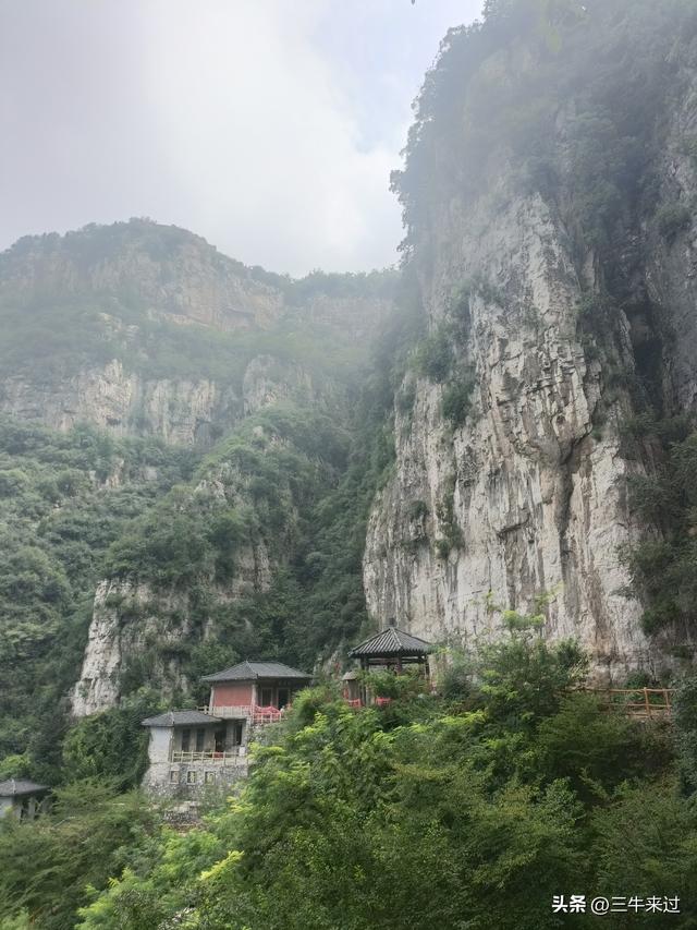 无为在歧路，2025之经行