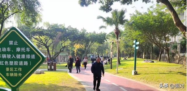 🌞广汉金雁湖公园：冬日里的“阳光能量站”