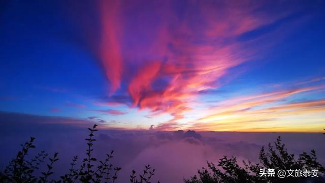 泰山雨后云雾织仙境！泼墨山水里藏着夏日最治愈的奔赴