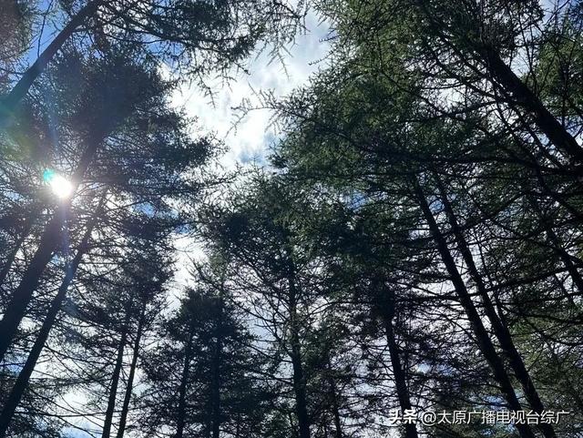 山西的秋是立秋以后的秋