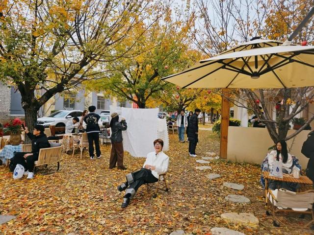 董宇辉力荐山东！潍坊，邀你赴约~