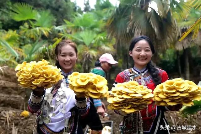 今天，红河州68岁了！