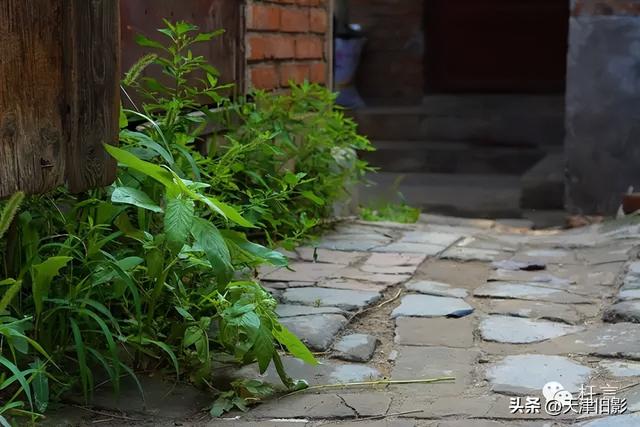 2015年的西沽