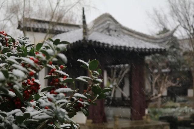 2026年的一场纯雪，让苏州一夜变成了姑苏！