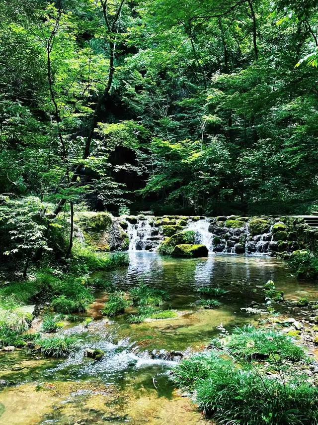 陕西金丝峡,去1次想10次的峡谷!7公里秘境藏4大惊喜!