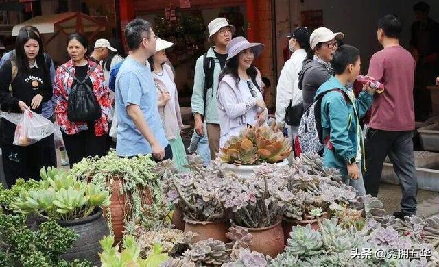 昆明大观篆新农贸市场：打造文旅消费新业态，提振假日消费新活力