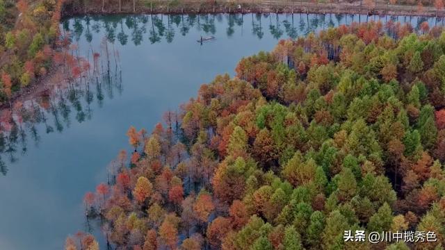 宁国红杉林:观赏指数Ⅱ级!