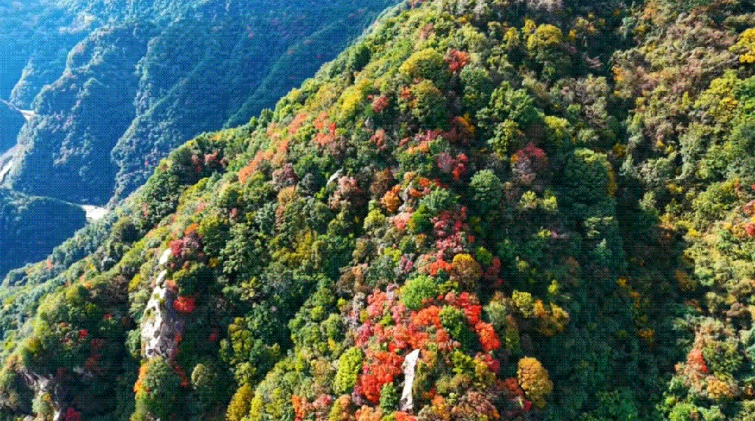 出片率100%！西安爬山赏秋打卡地推荐！速约→