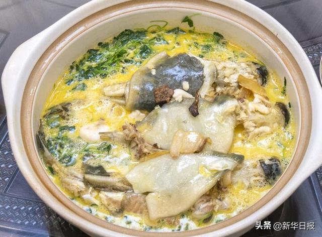 读诗词游水韵江苏｜无锡：在太湖畔探寻江南韵味与禅意