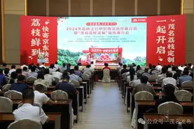 荔枝鲜到！茂名打通荔枝寄递“最先一公里”图片