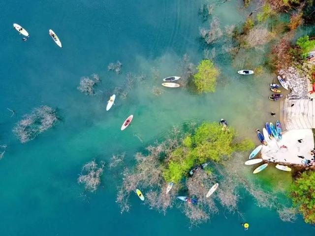 新增5个！2025年佛山市文化和旅游特色村名单出炉→