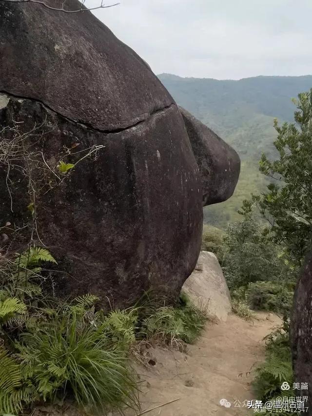 一步一景，奇石不断！温州这处奇石纷呈的的免费景区你可去过？