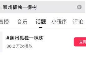 “襄州孤独一棵树”走红！大批人赶来……图片