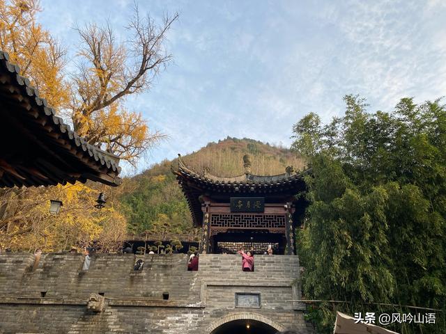游古观音禅寺，观千年银杏树