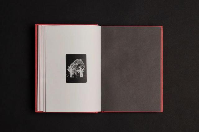 知识付费彻底死了，但“知识服务”的黄金十年，才刚开始