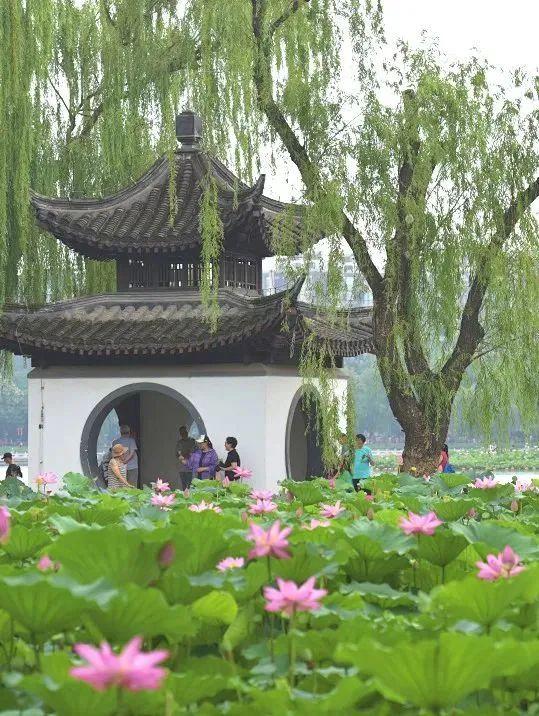逛西城，到陶然亭公园打卡“隐藏点位”——
