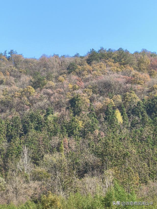 武汉周边古村落溪流观光2日游(两小时到达)夏秋皆宜！