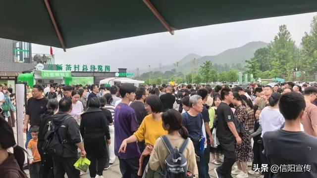 雨停了，天晴了，信阳文旅又人气爆棚了