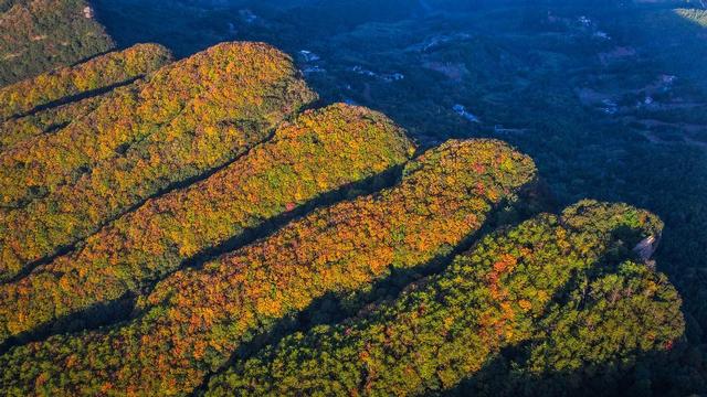 邂逅剑门蜀道的斑斓冬日