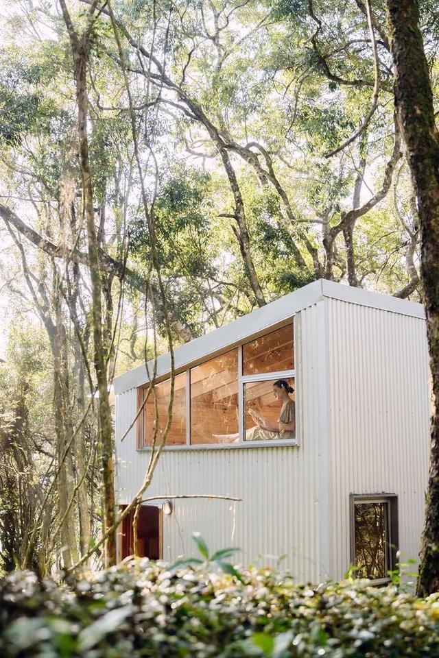 35㎡的森林拥抱，沉浸式短住秘境小屋