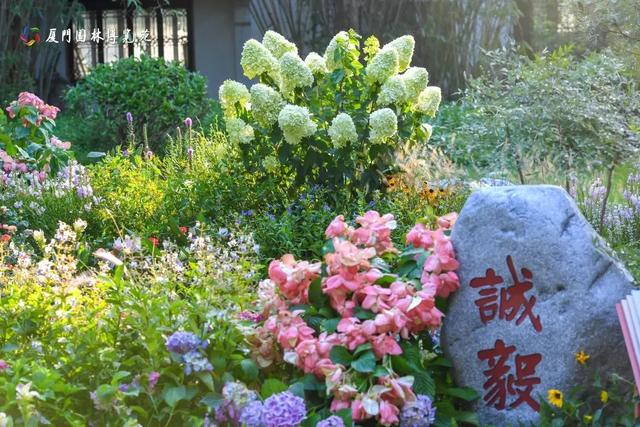厦门双园盛事!花境艺术×食虫奇观,限时体验指南→