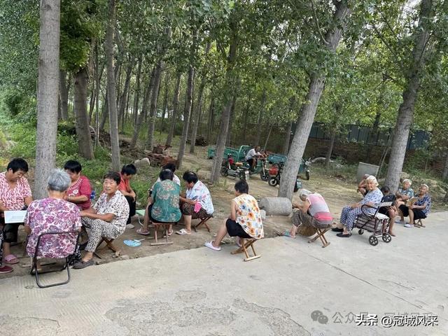 冠县乡韵·辛集镇崔刘八寨
