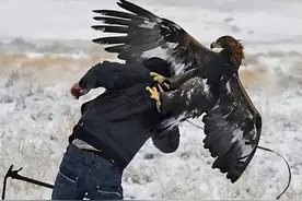 2012年一桩奇案，巨雕多次袭击同一村民，民警得知真相后大呼活该图片