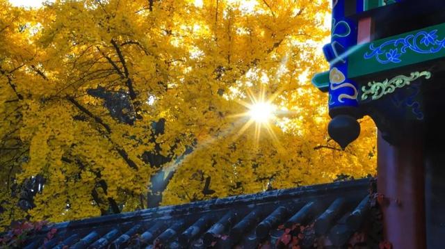 别再问周末去哪玩了！来蒙山承包你的快乐时光！