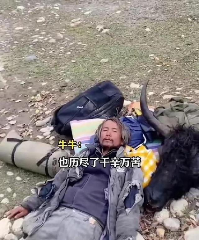 看哭了！男子陪抑郁症妻子徒步去西藏，花了200多天，还想去新疆