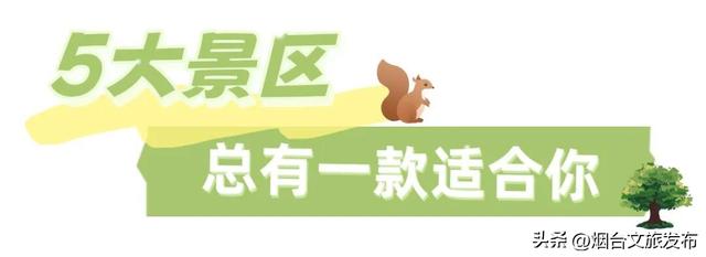 【乐游烟台】登高首选！烟台这个宝藏秘境，风景绝美！