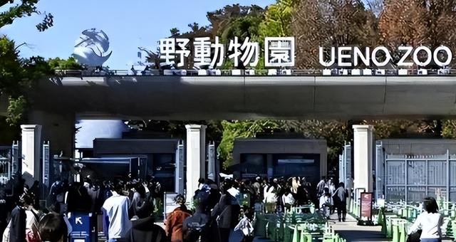 没有回旋余地	，中国下令直接收回，17万日本人泪奔，高市闯祸了！