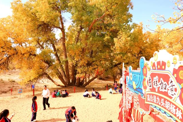 高台:九头胡杨迎来最佳观赏期