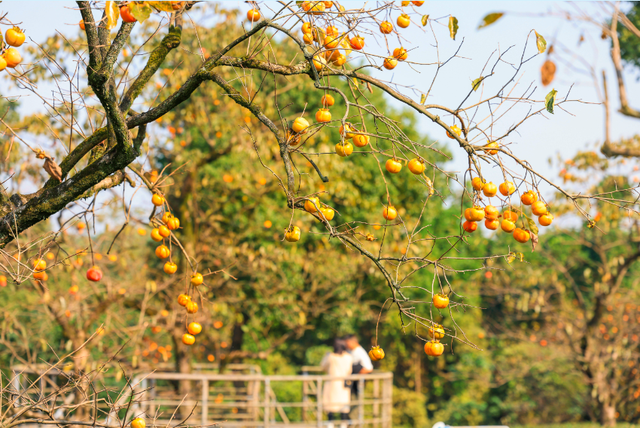 我说白了，萧山你是不是有点过分了！