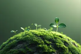 初二名著《红岩》练习题（解析版）图片