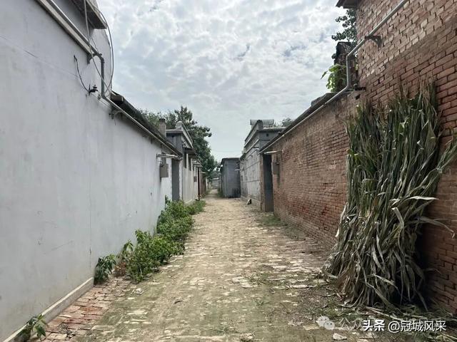 冠县乡韵·定远寨镇陈庄
