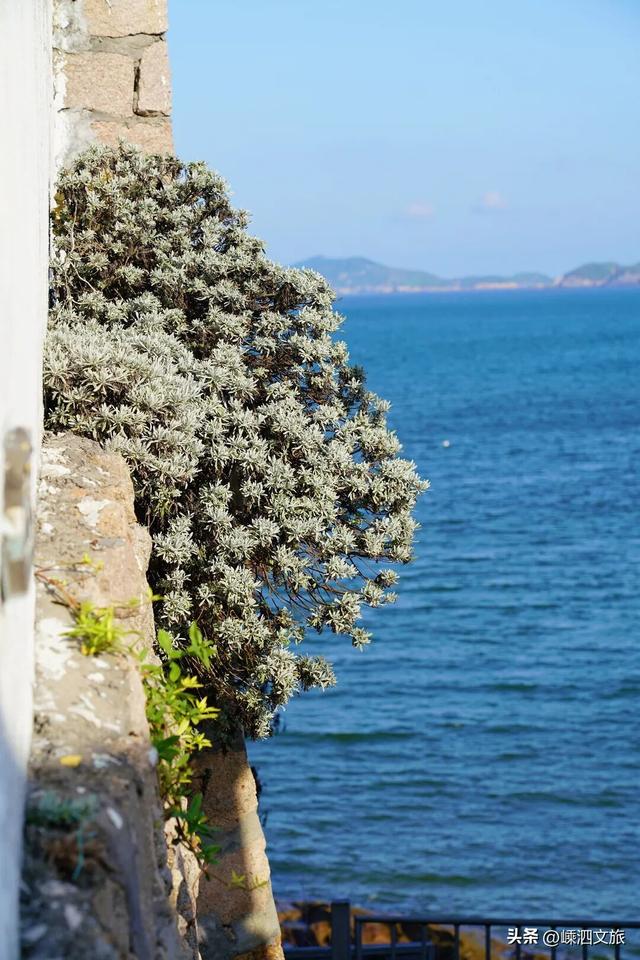 2026年1月3日至2月28日，花鸟岛不收取景区门票啦！