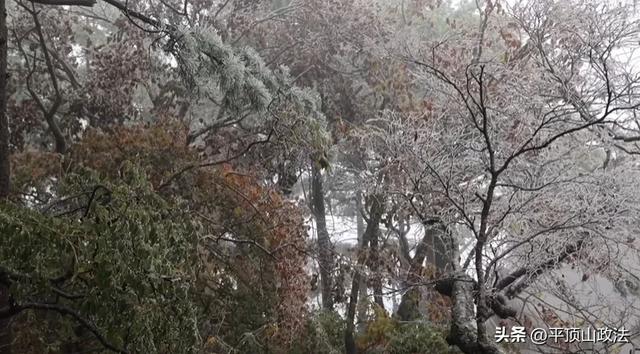 平顶山这里下雪了？附最新预报：本周还有雨