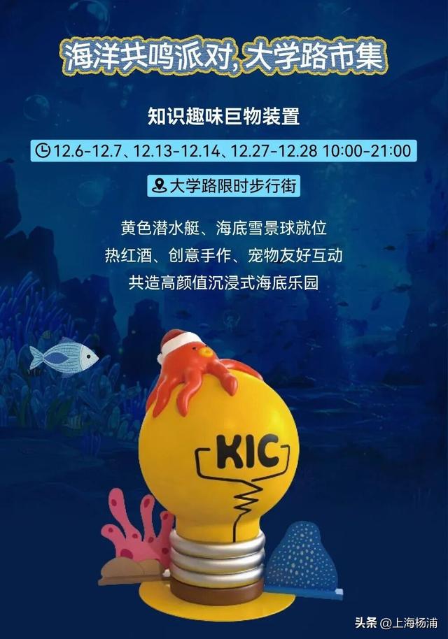 大学路又有新玩法！开放式“海底乐园”等你来打卡
