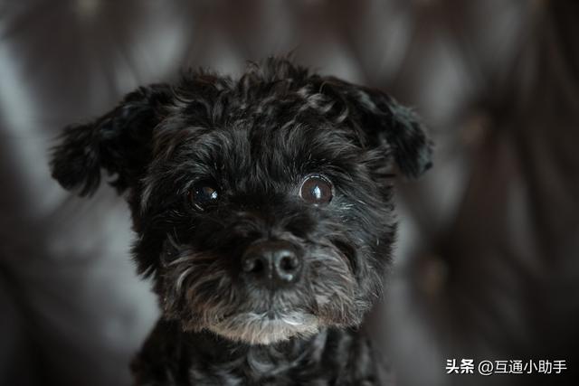 腾龙 90mm F/2.8 Di III MACRO VXD 上手使用体验