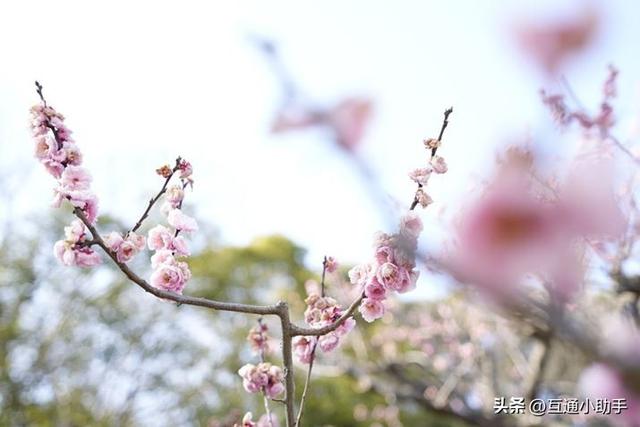 腾龙“20-40mm F/2.8 Di III VXD”镜头评测!