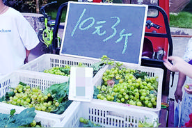 从每斤300元到10元3斤 阳光玫瑰葡萄为何跌跌不休图片