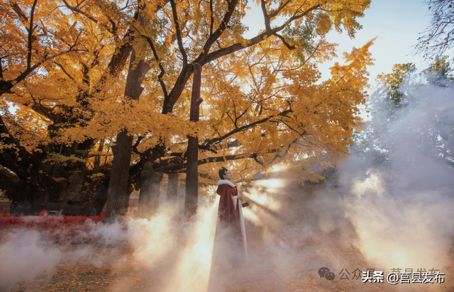 文旅山东推介莒县“宝藏小城”！